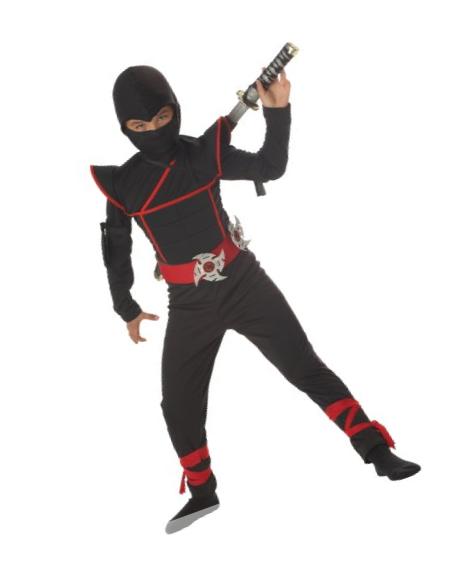 California Costumes Toys Stealth Ninja, Large