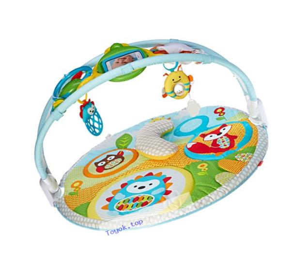 Skip Hop Explore-and-More Amazing Arch Activity Gym, Multi